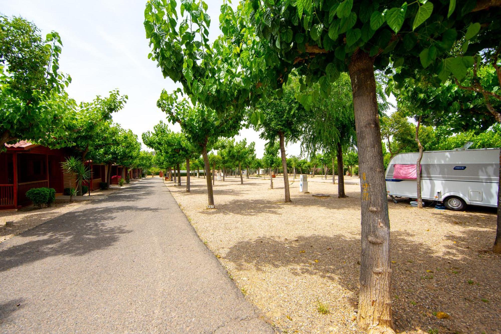 Camping Carlos III La Carlota Exterior photo